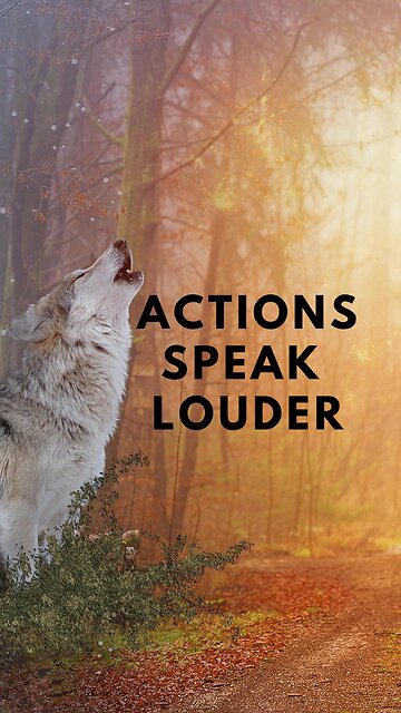 Unapologetic Action: Getting Things Done and Igniting Inspiration