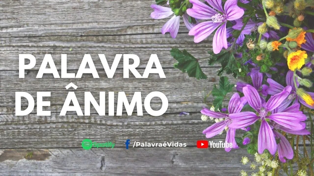 Palavra de Ânimo e Fé 🌷 Deus não desampara os seus