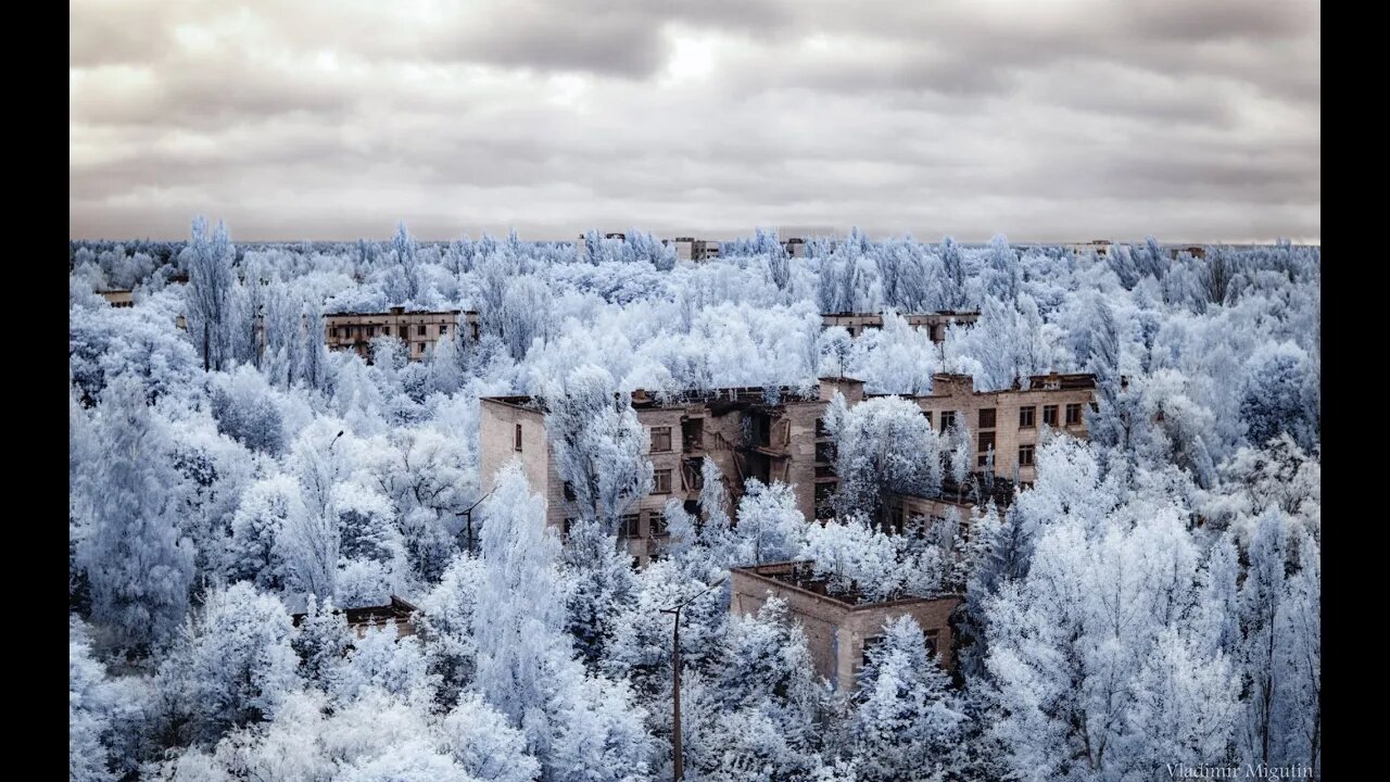 Czarnobyl - triumf natury ^ Dokument ^ PL480p
