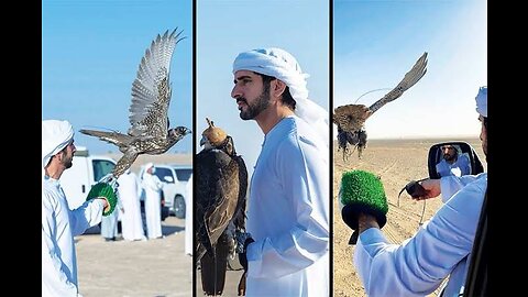 Sheikh Hamdan (فزاع 𝙁𝙖𝙯𝙯𝙖) Sheikh Rashid 💔 () Endurance Ride Normandie