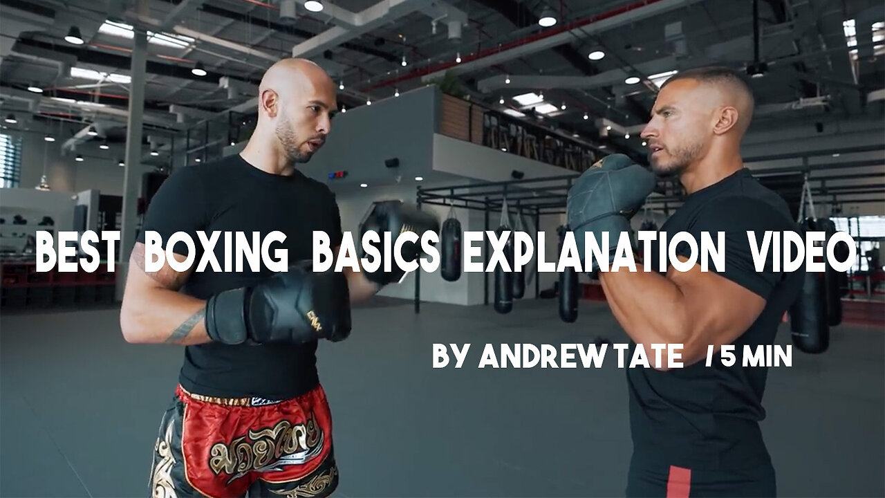 BEST BOXING BASICS EXPLANATION VIDEO