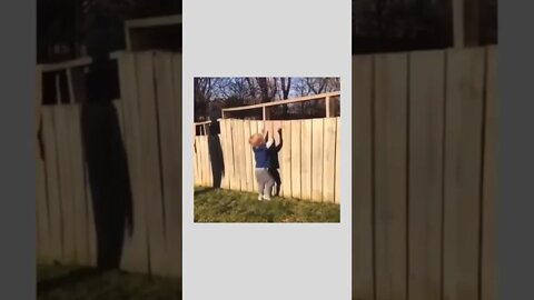 Little boy playing fetch with the neighbor’s dog.. 😊