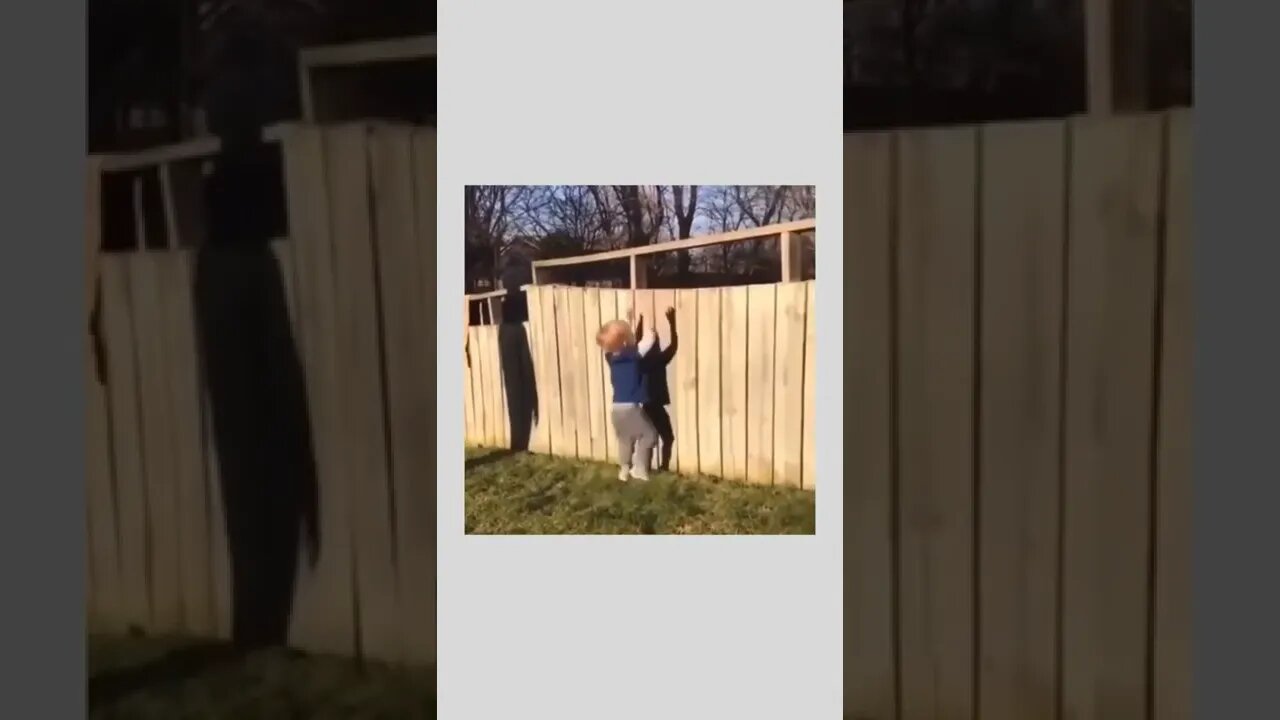 Little boy playing fetch with the neighbor’s dog.. 😊