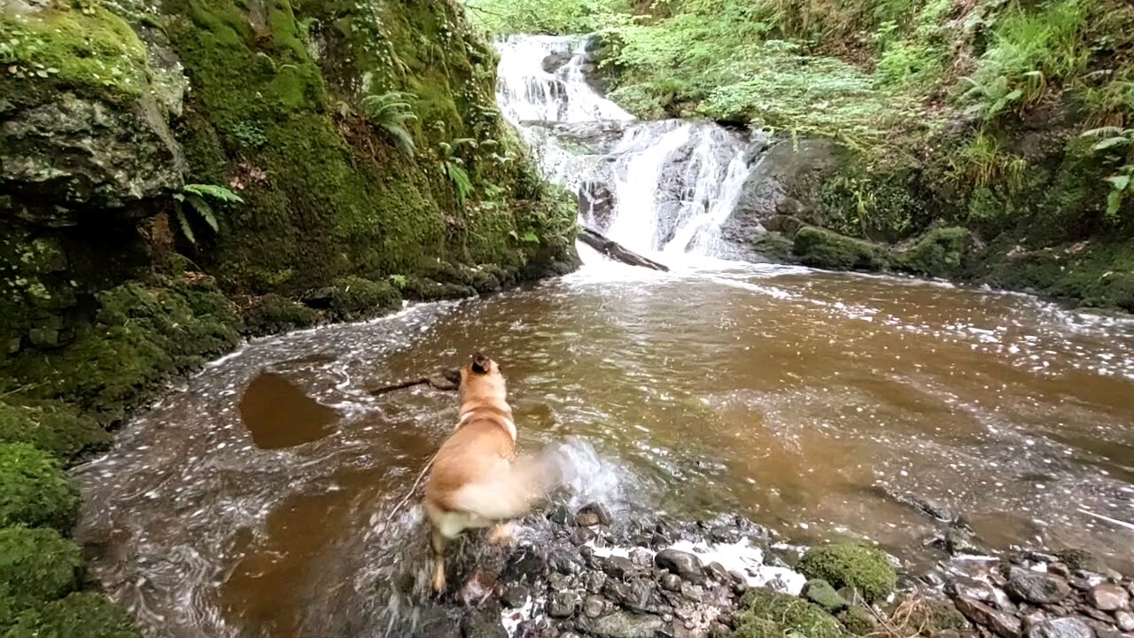 Scotland - Killoch Glen Hike 🏴󠁧󠁢󠁳󠁣󠁴󠁿