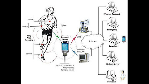 Your Body: The Network You Didn't Know You Had