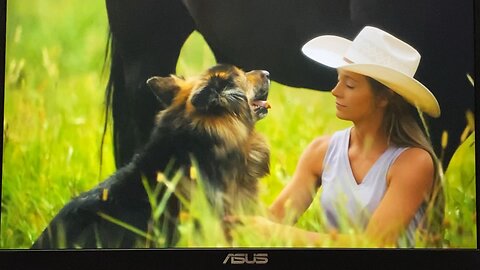 Heartland 16X5: Amy working with Biscuit and Remi Helps