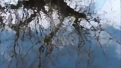 Free Stock Footage 4k Videos No Copyright Videos Water Reflection Ripple Motion Background