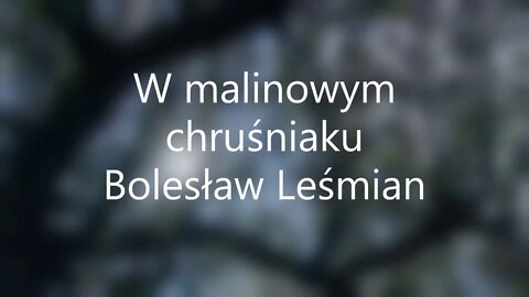 W malinowym chruśniaku- B.Leśmian