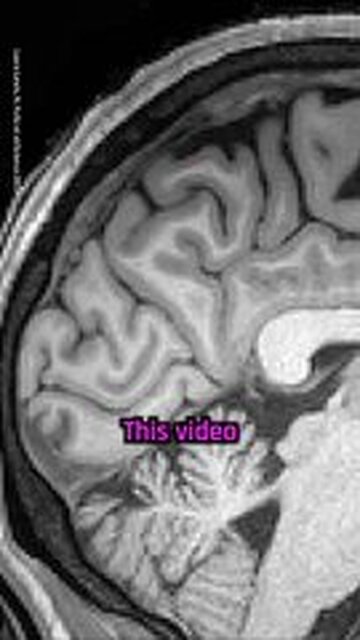 This is what happens in your brain during sleep.