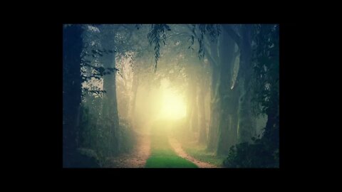 MEDITATION MUSIC, MEDITATION MUSIC FOR HEALING, HEALING MEDITATION, STRESS, RELAXATION, SLEEP MUSIC