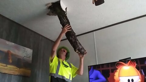 Removal of a Tree Limb That Fell Straight into Mobile Home