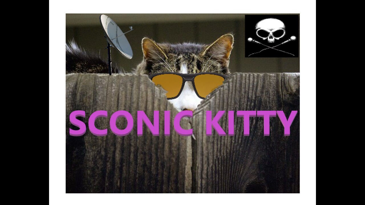 Sonic Kitty