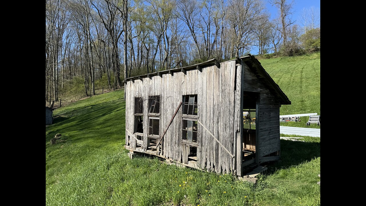 Restoring the generational chicken coop!