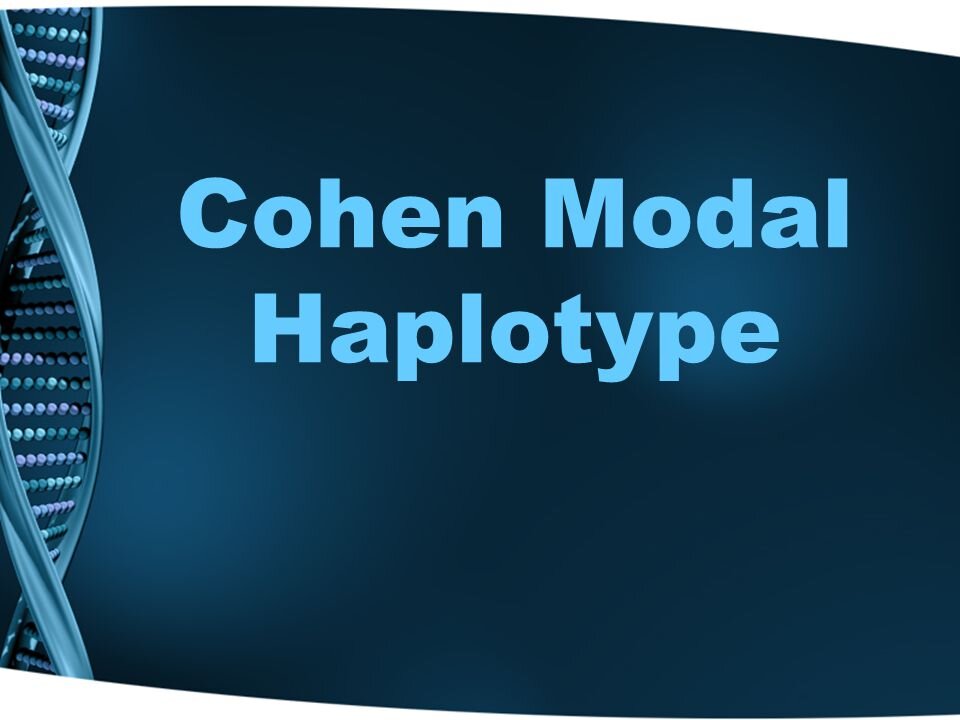 The RH Negative Blood Type: Cohen Haplogroups & The Kingdom of Judah