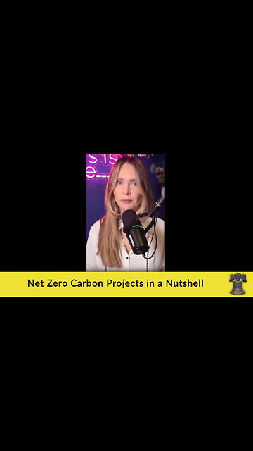 Net Zero Carbon Projects in a Nutshell