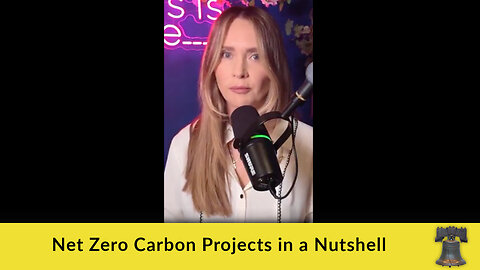 Net Zero Carbon Projects in a Nutshell