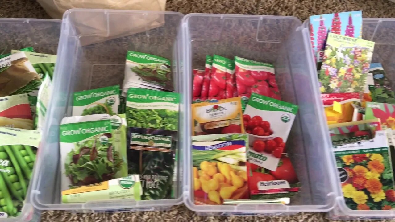 Saturday Projects™.com | GARDENING 2020 - 1 | Cracking open the seed vault and organizing seeds