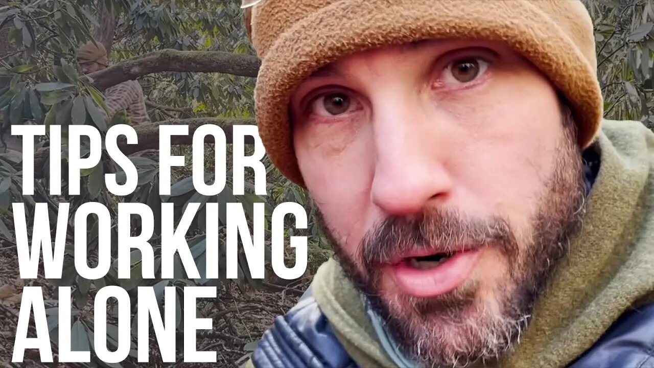 Tips for Clearing Trees and Brush Alone | ON Three