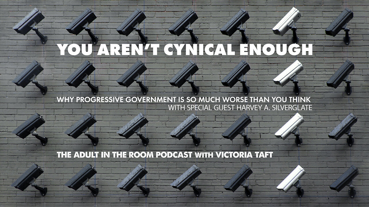 You Aren't Cynical Enough with Civil Rights & Criminal Defense Attorney Harvey A. Silverglate