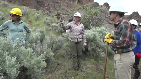 Idaho Trails Association volunteers perform trail maintenance in Idaho