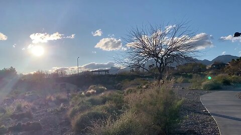 Back To Nature ~ Sub Read Challenge & Book Suggestions