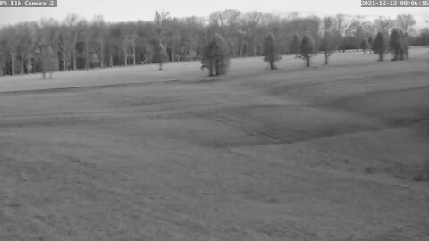 PixCams Live Stream