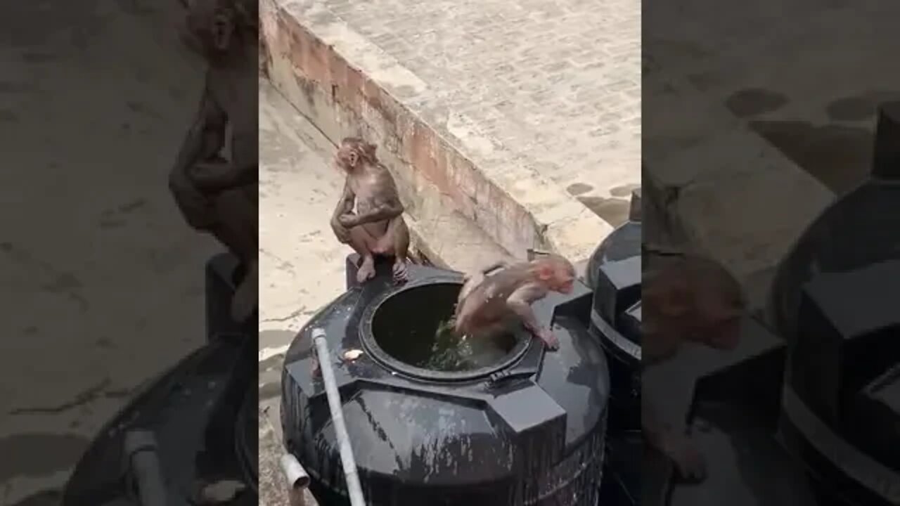Relief from scorching heat