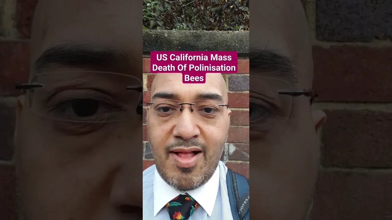 US California Mass Death Of Polinisation Bees #Rumble #News #Shorts