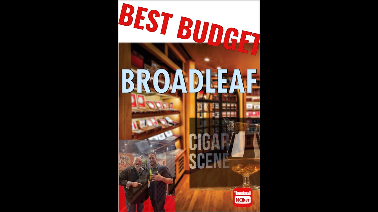 5 Vegas Triple A Best Budget Broadleaf