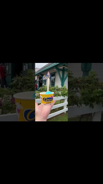 Icecream from COWS PEI Canada
