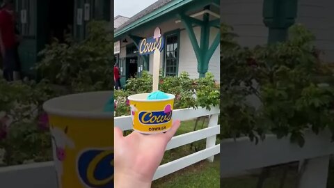 Icecream from COWS PEI Canada
