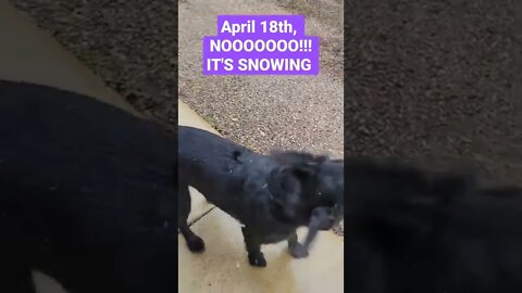 SPRING SNOW..... Noooo!!!! I left the FLA too soon!!!