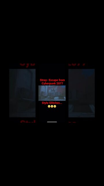 Stray…Cat on a Hot Tin Roof