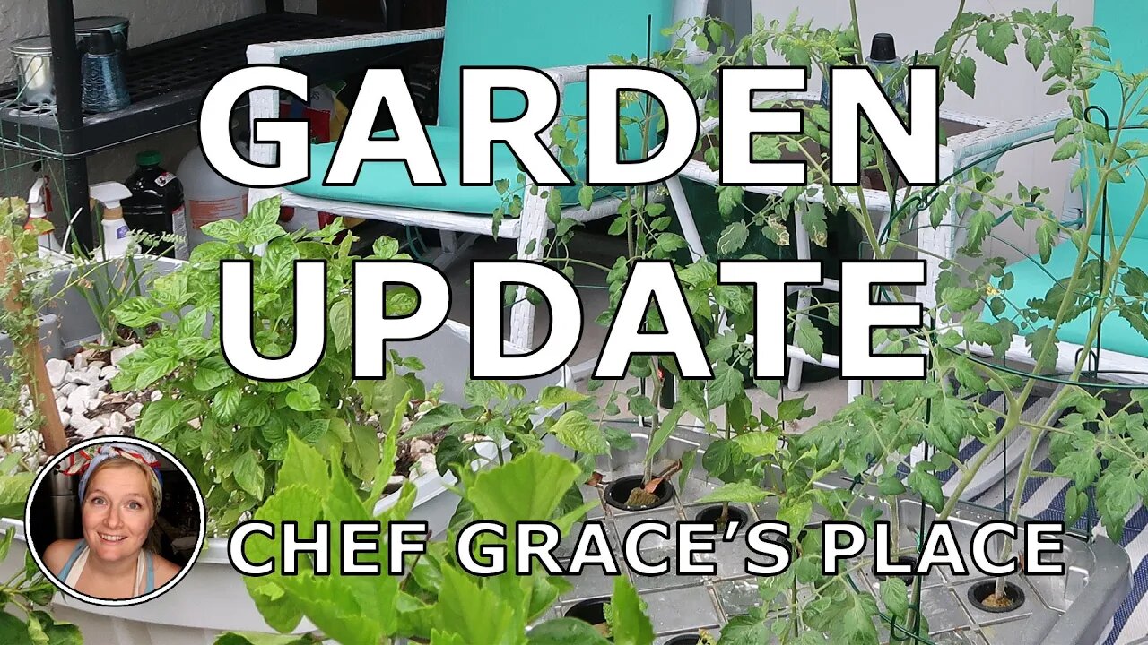 VICTORY GARDEN UPDATE: It's still not too late to plant a one!