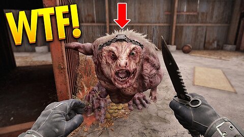 S.T.A.L.K.E.R. 2 WTF & Funny Moments! #1