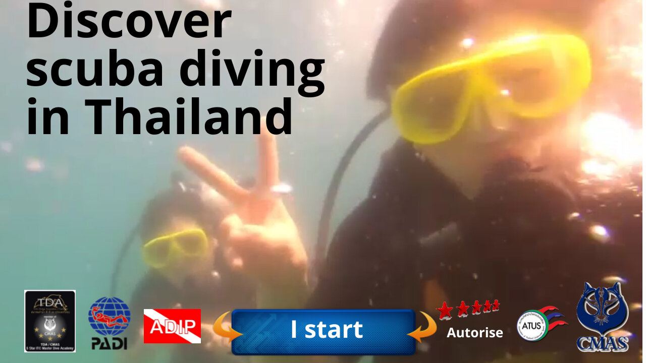 Discover scuba diving in Thailand