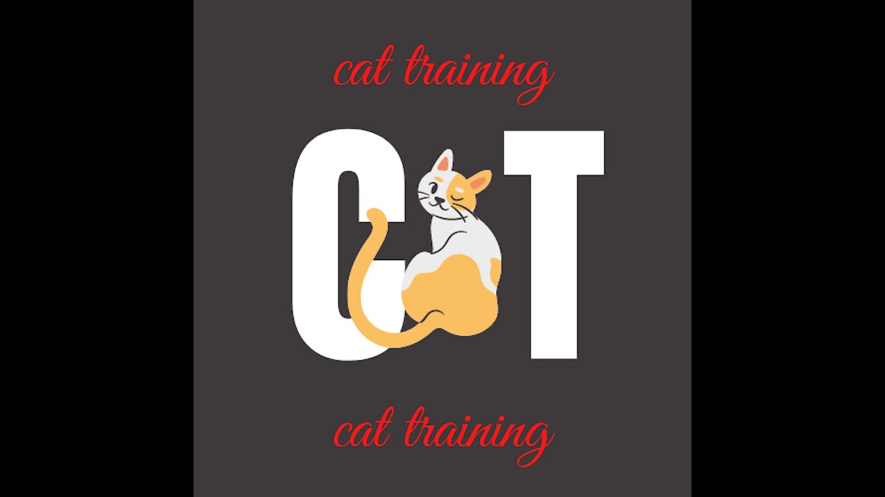 Basic and simple cat training tips