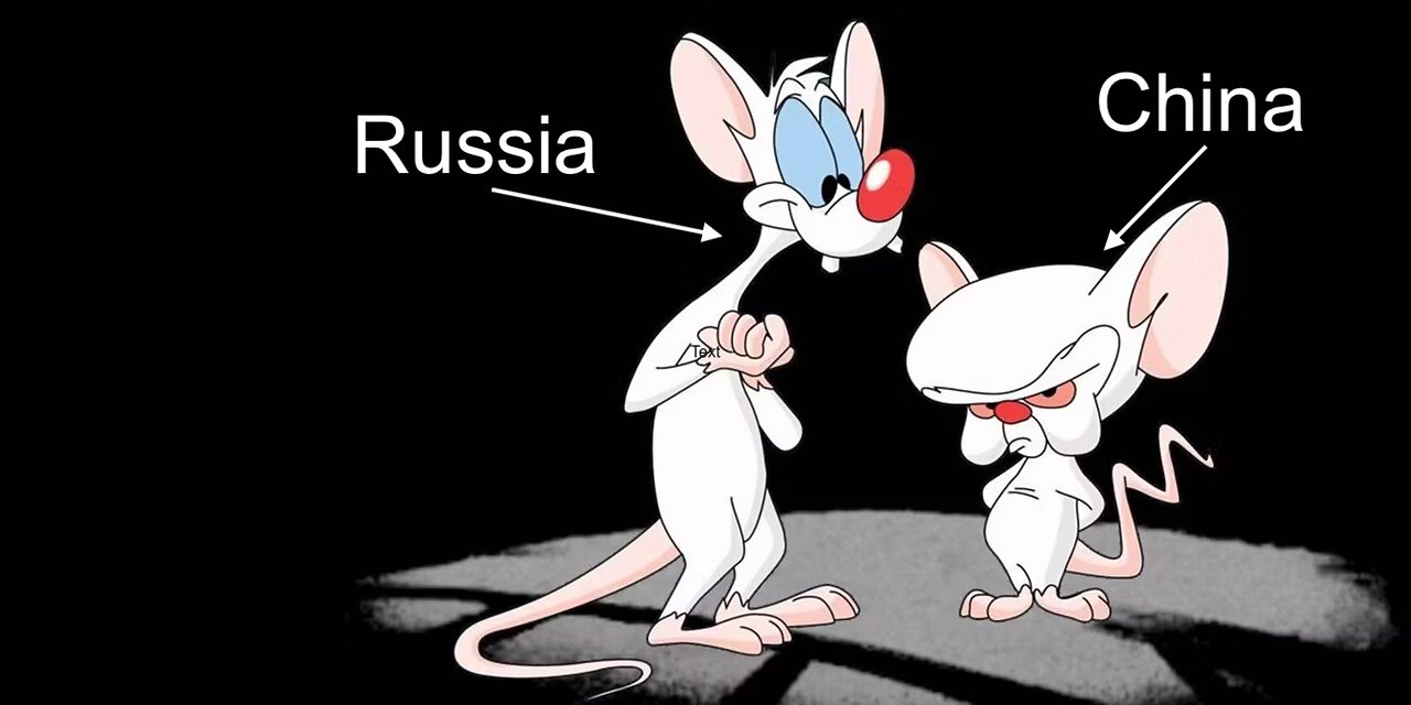 Russia and China are Pinky and The Brain