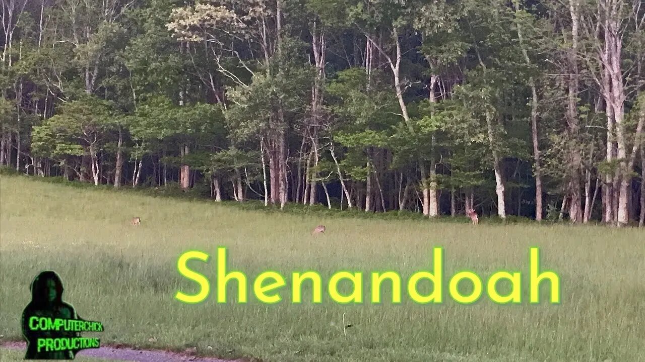 Shenandoah Park 2017 #Shorts