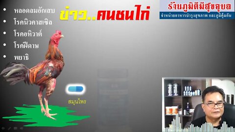 การดูแลภูมิคุ้มกัน ไก่ชนล่าสุด