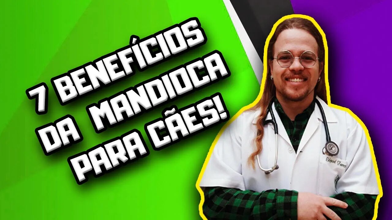 7 benefícios da Mandioca para Cães | Dr. Edgard Gomes | Alimentação natural para Cães