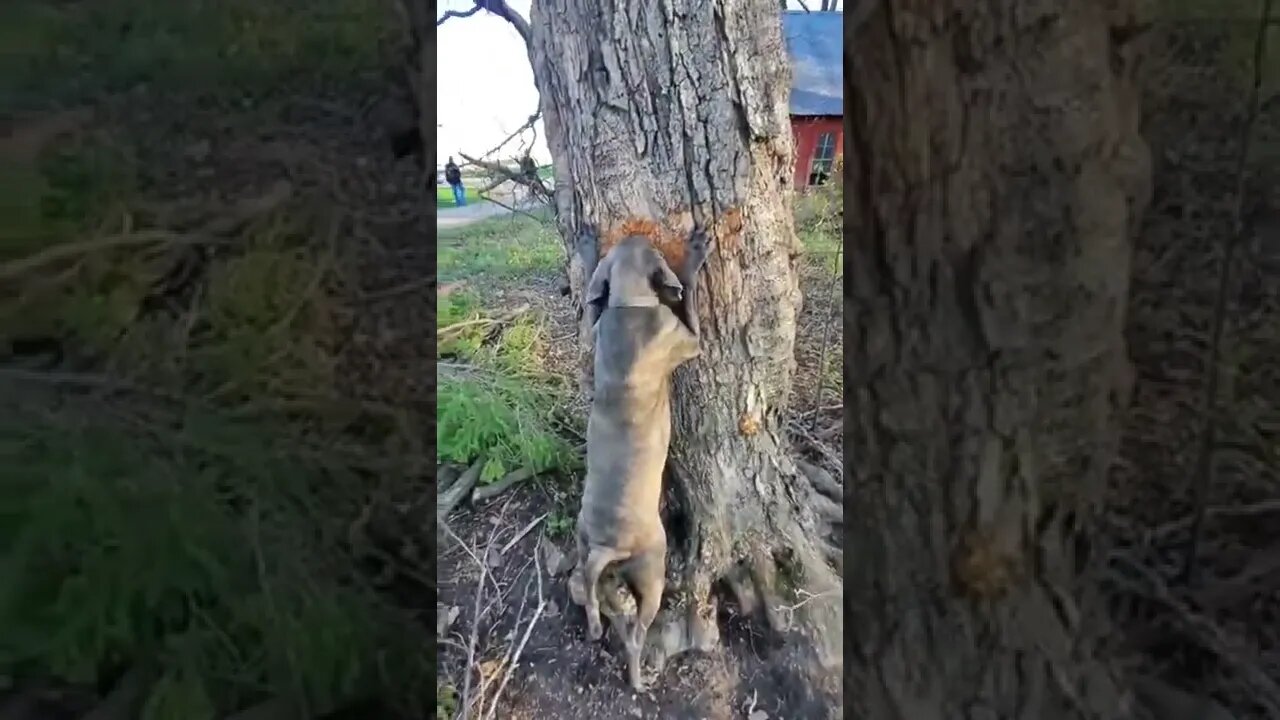 Here’s Your Dose Of REALarious…🤣🤣🤣