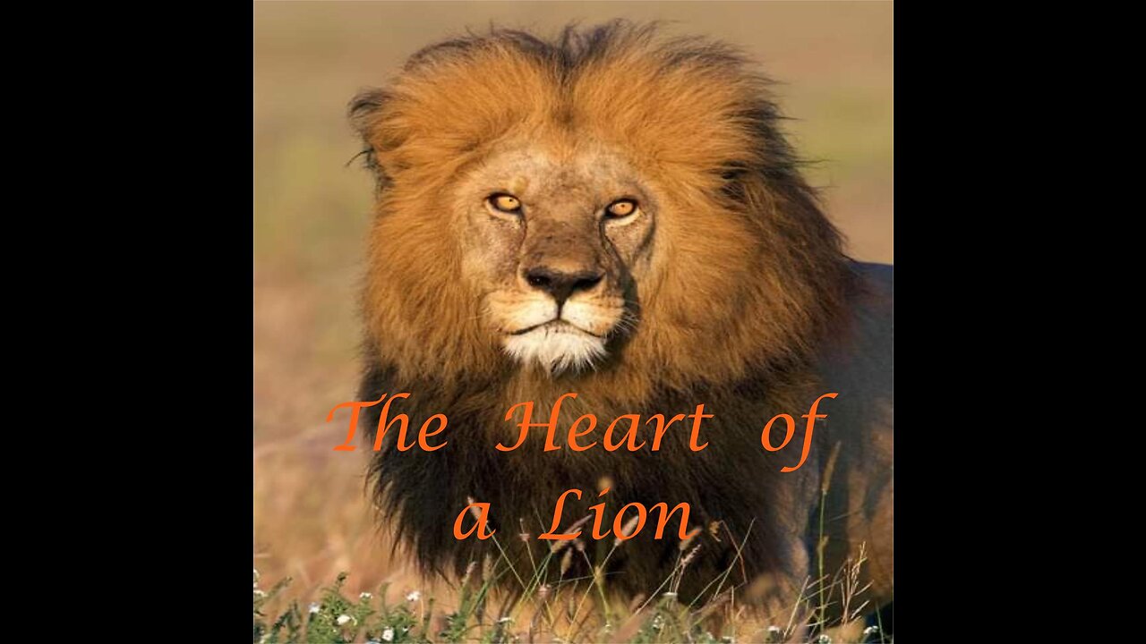 The Heart of a Lion