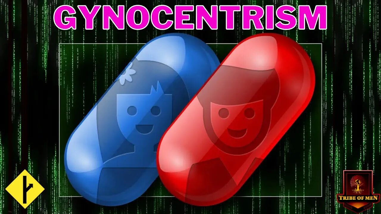 Why Would MGTOW And RED-PILL Exist if We Live In A Patriarchy?