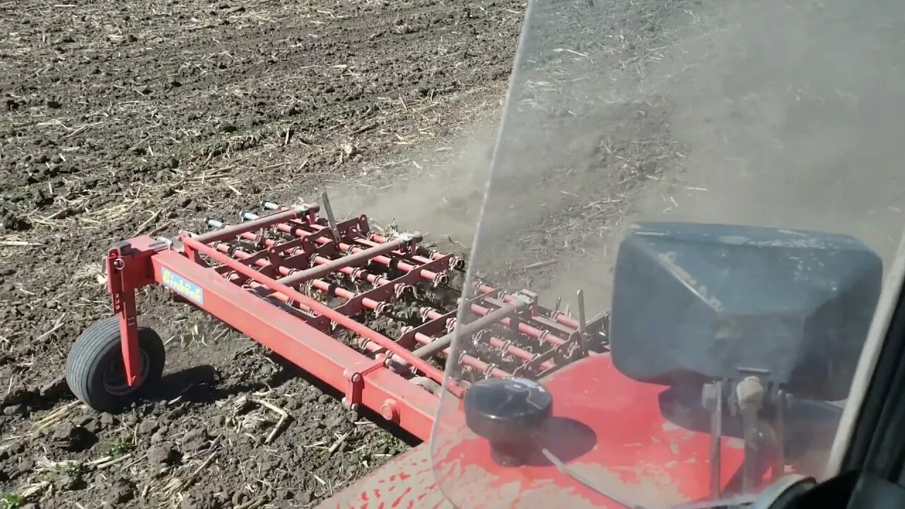 Tine weeding organic soybeans