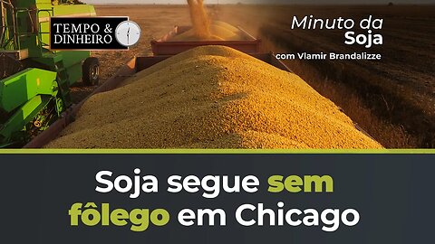 Soja segue sem fôlego em Chicago