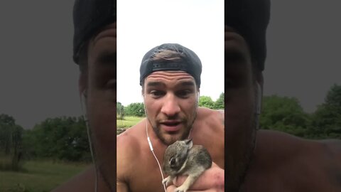 🐰 Juicy Profits Potatoes and Baby Bunnies 🐰