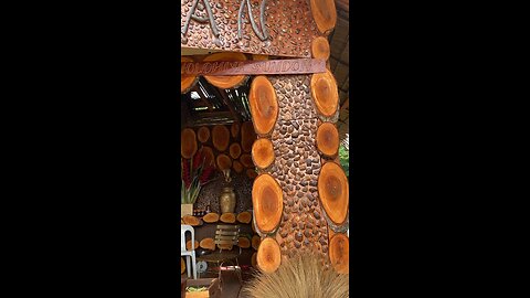 Endocarp of coconut.