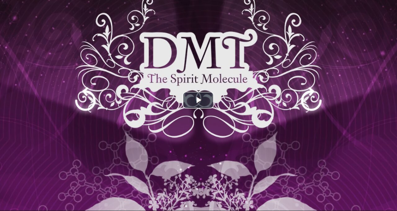 DMT - The Spirit Molecule - Documentary