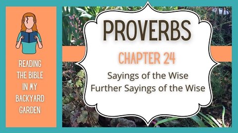 Proverbs Chapter 24 | NRSV Bible